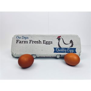 12 count Egg Cartons - Printed Blue / Brown - Recycled Paper Pulp, Solid Top Style for Chicken Eggs - Made in USA