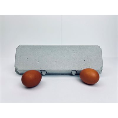 12 count Egg Cartons - Non-Printed - Recycled Paper Pulp, Solid Top Style for Chicken Eggs - Made in USA