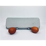 12 count Egg Cartons - Non-Printed - Recycled Paper Pulp, Solid Top Style for Chicken Eggs - Made in USA