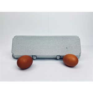 12 count Egg Cartons - Non-Printed - Recycled Paper Pulp, Solid Top Style for Chicken Eggs - Made in USA